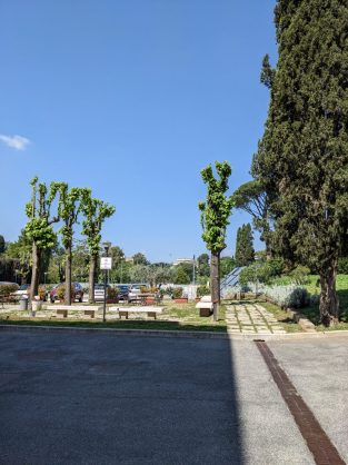 PXL_20230509_090509043