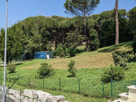 PXL_20230509_092644488.PORTRAIT